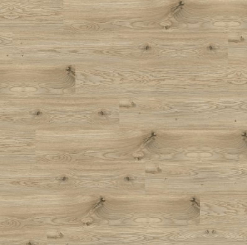 Rivera - Sanremo Oak