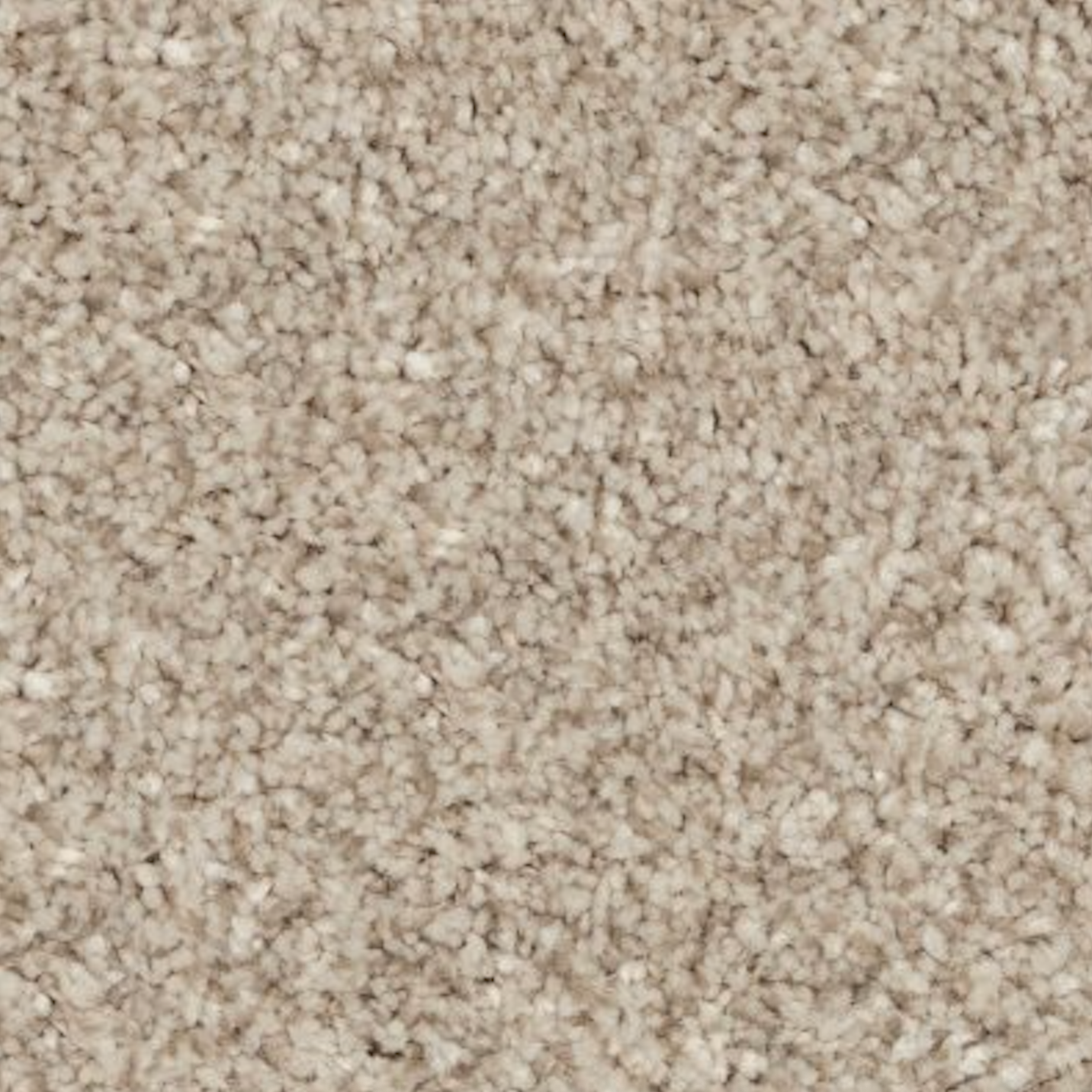 Serene Ambiance - Democracy