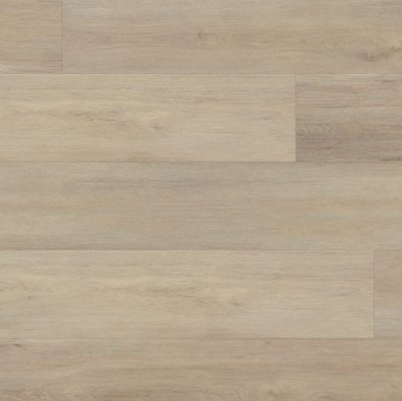 Expedition - 6050 CARAWAY