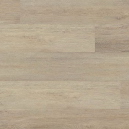 Expedition - 6050 CARAWAY