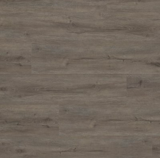 Expedition - 6038 PECAN